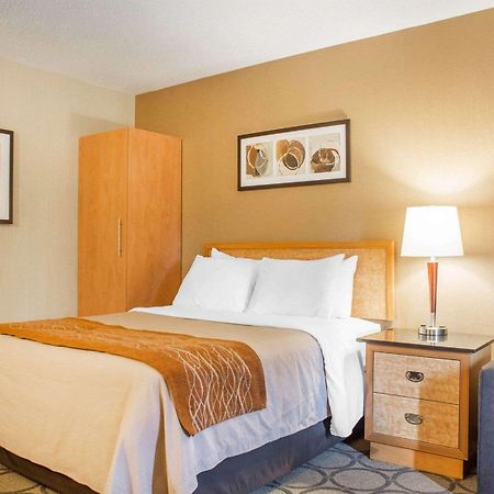 Comfort Inn برانتفورد المظهر الخارجي الصورة