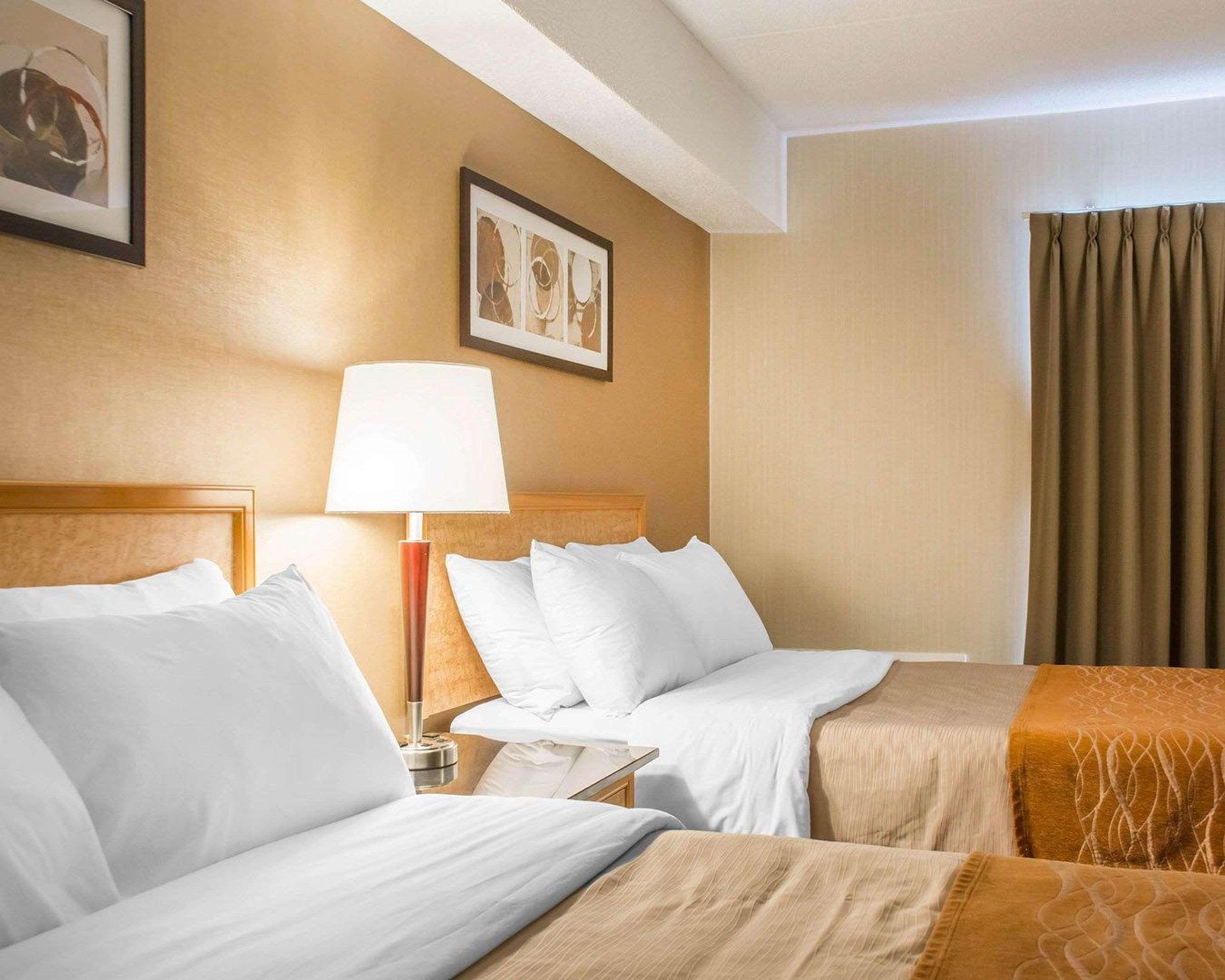 Comfort Inn برانتفورد المظهر الخارجي الصورة