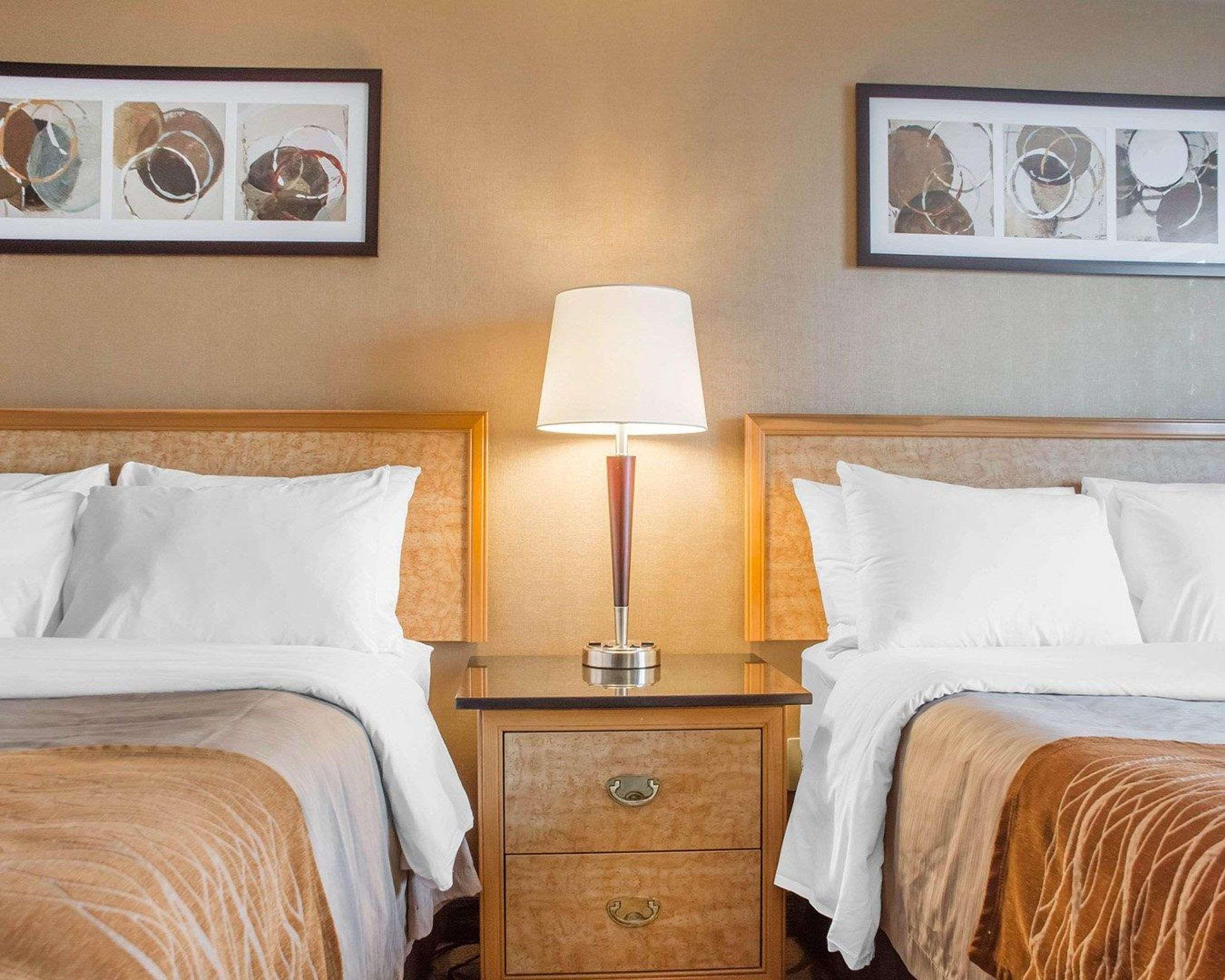 Comfort Inn برانتفورد المظهر الخارجي الصورة