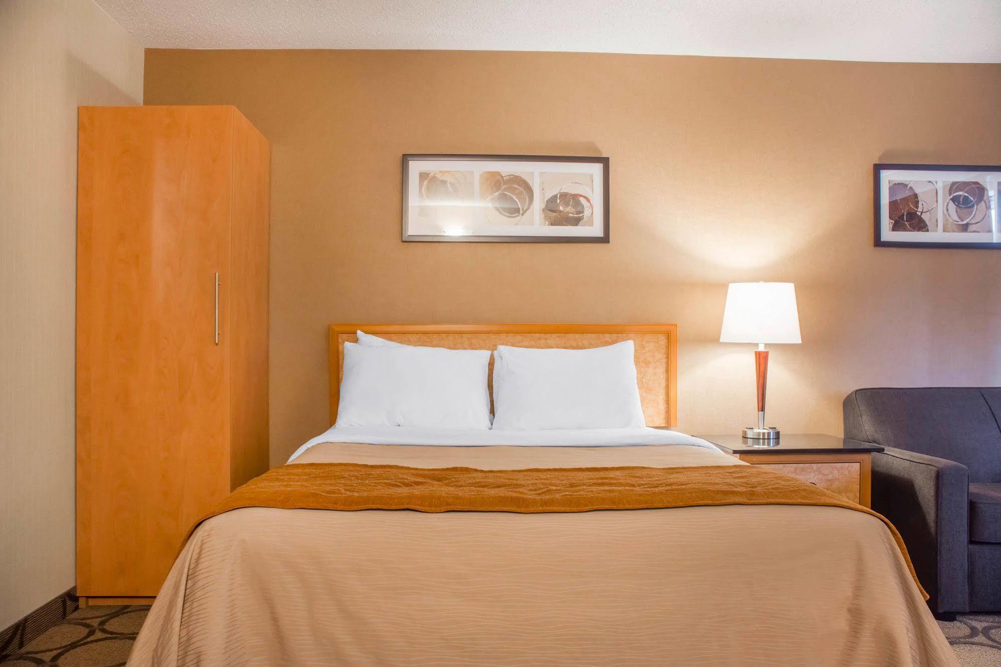 Comfort Inn برانتفورد المظهر الخارجي الصورة