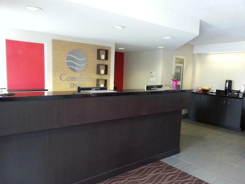 Comfort Inn برانتفورد المظهر الخارجي الصورة